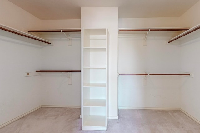 spacious closet with light carpet