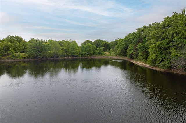 view of water feature