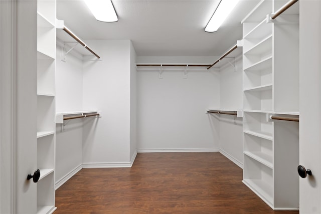 walk in closet with dark hardwood / wood-style floors