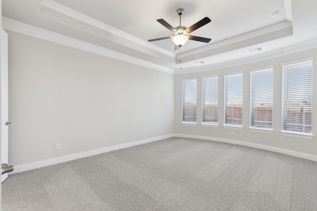 spare room with carpet, a raised ceiling, ceiling fan, and ornamental molding