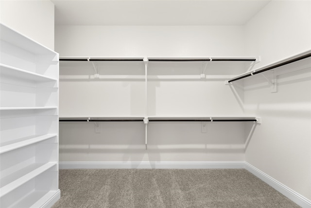 walk in closet featuring carpet flooring