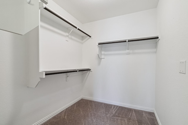 spacious closet with carpet