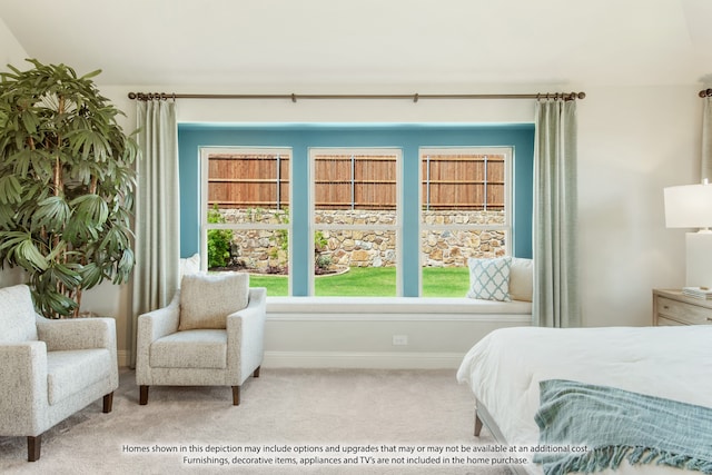 bedroom with carpet floors