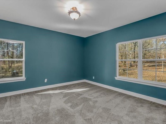 unfurnished room featuring carpet