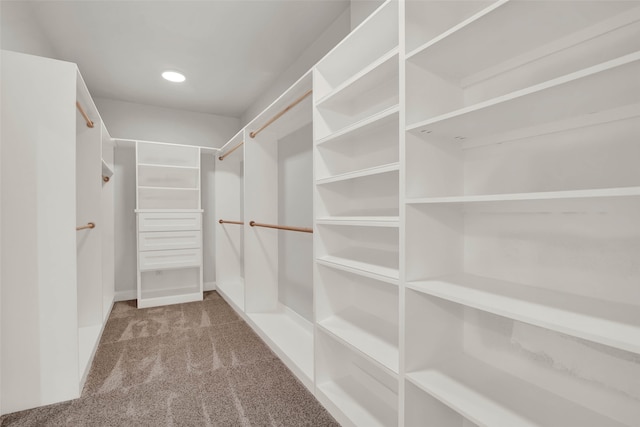 spacious closet featuring carpet flooring