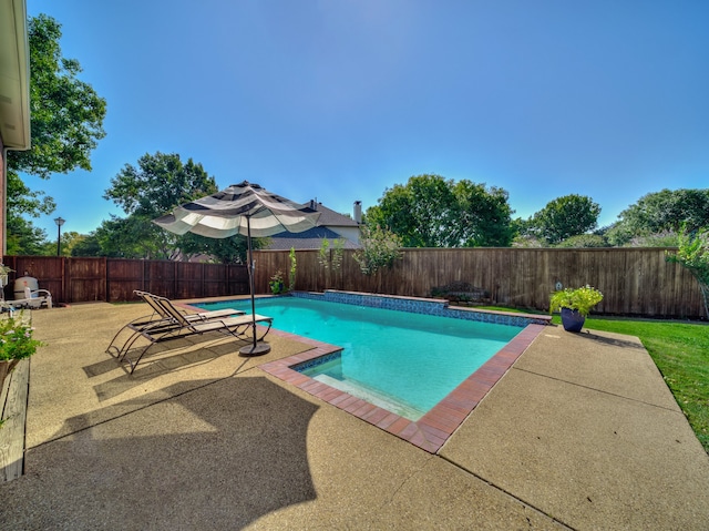 view of pool with a patio and a lawn