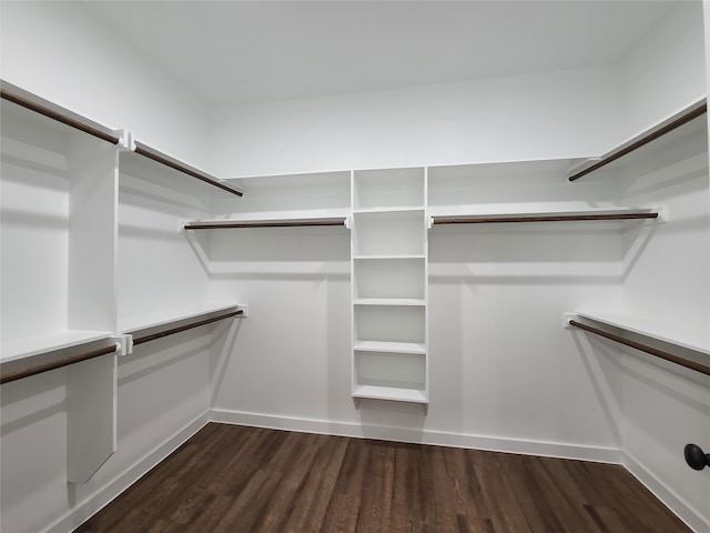 walk in closet with dark wood-type flooring