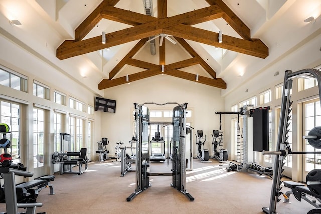 workout area with a high ceiling and a wealth of natural light