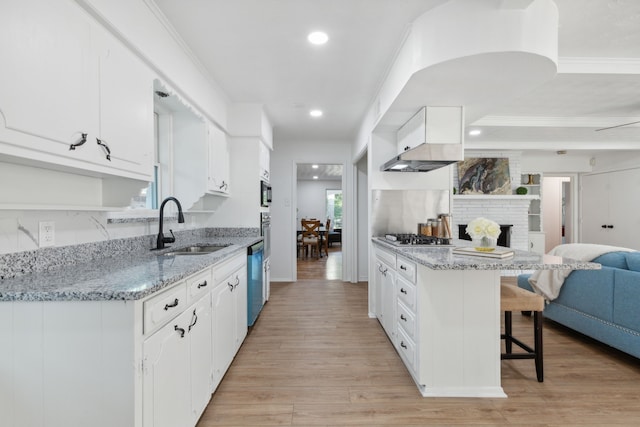 kitchen featuring light stone counters, sink, light wood-type flooring, and white cabinetry