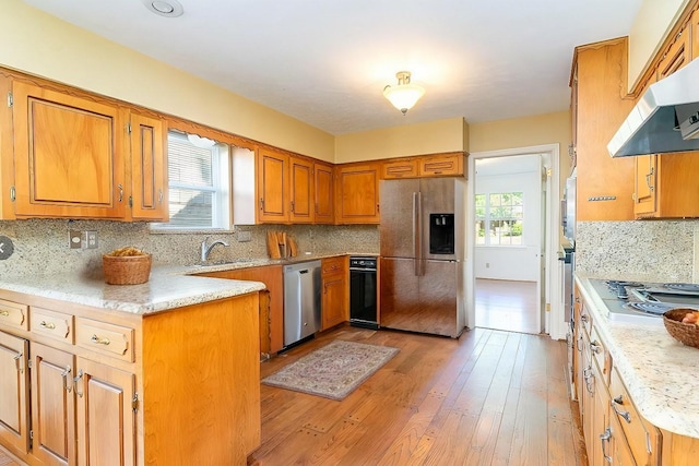 kitchen featuring light hardwood / wood-style floors, ventilation hood, a healthy amount of sunlight, and appliances with stainless steel finishes