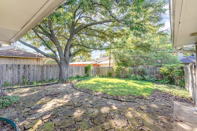 view of yard with a patio