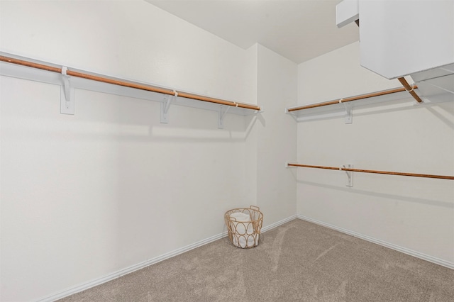 walk in closet featuring light colored carpet