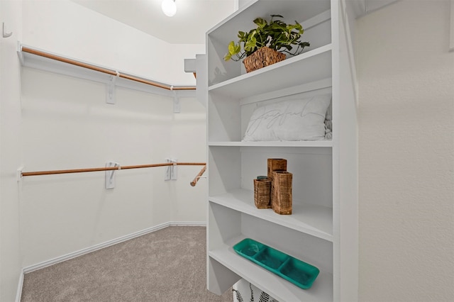 spacious closet featuring light carpet