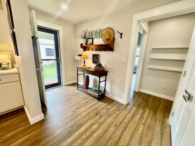 doorway with hardwood / wood-style floors