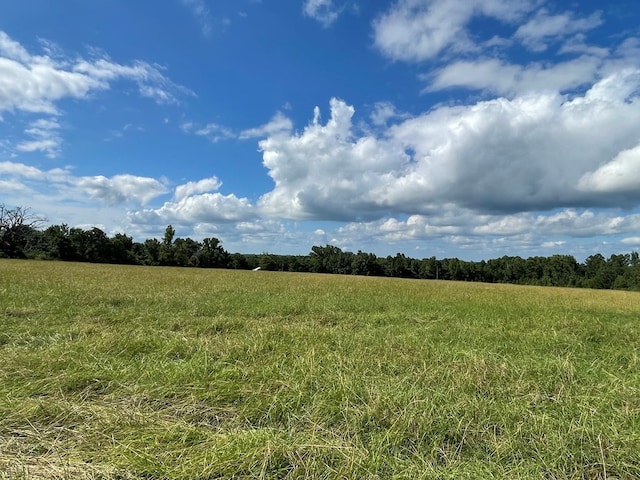 view of local wilderness featuring a rural view