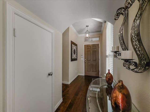 interior space featuring dark hardwood / wood-style floors and crown molding