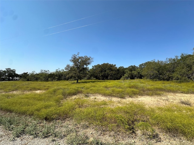 Listing photo 3 for 106 Wooded Acres Dr, Mineral Wells TX 76067