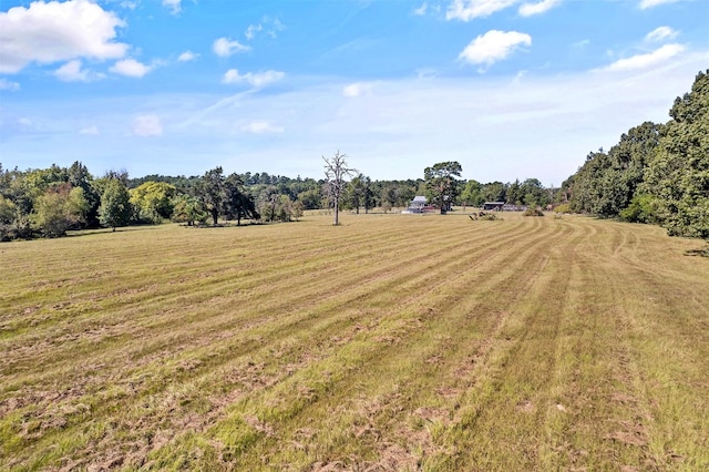 view of yard with a rural view