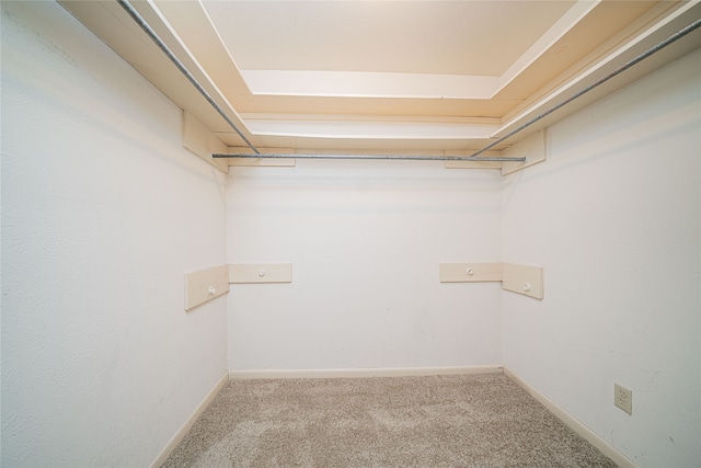 walk in closet featuring carpet