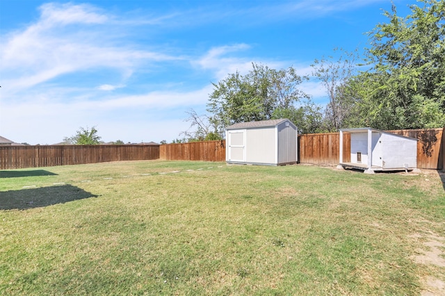 view of yard featuring a storage shed