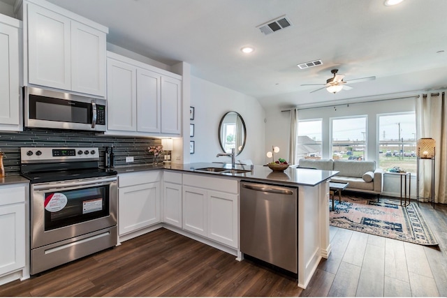 kitchen with kitchen peninsula, white cabinetry, sink, and stainless steel appliances