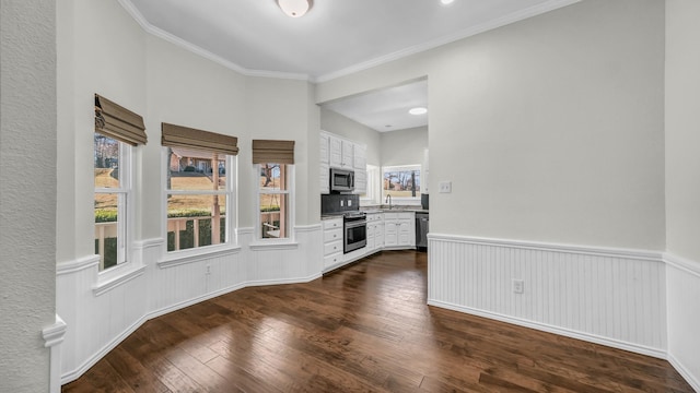 interior space with a sink, wainscoting, dark wood-style flooring, and crown molding