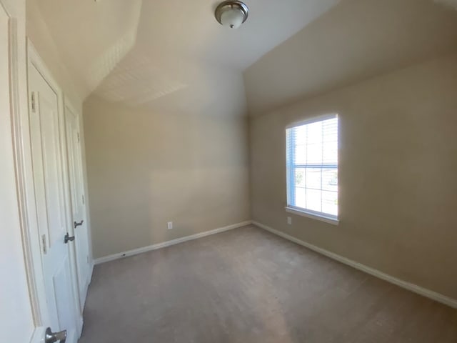 additional living space with carpet