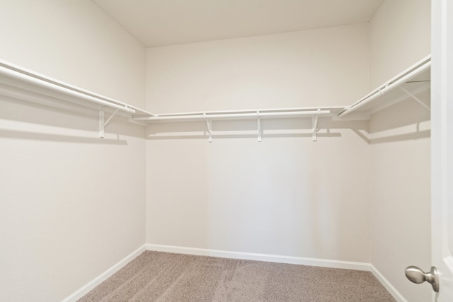 walk in closet with carpet