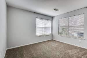 spare room featuring carpet floors