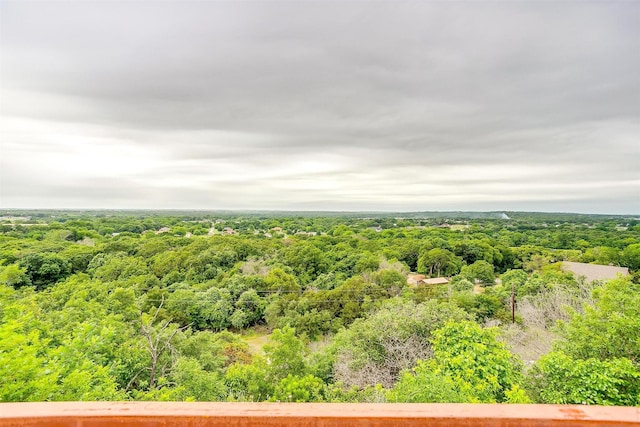 555 Mastadon Way, Weatherford, TX 76085 - drone / aerial view of a forest