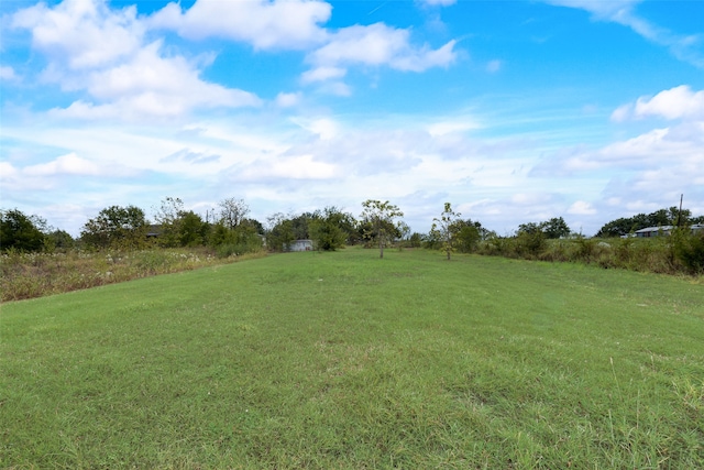 view of yard featuring a rural view