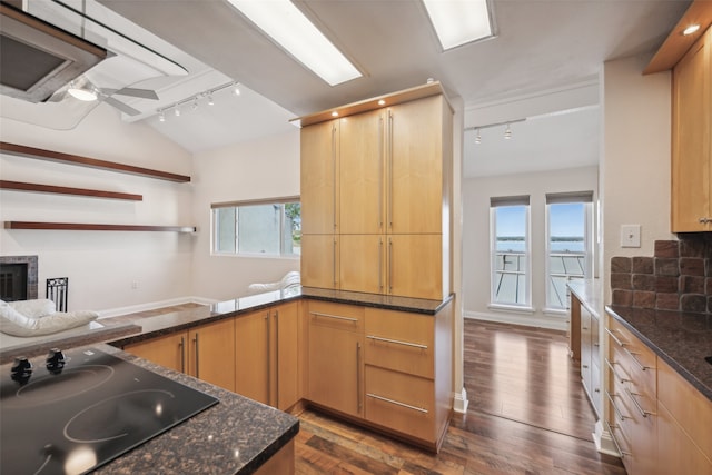 kitchen with black electric stovetop, track lighting, a healthy amount of sunlight, and vaulted ceiling