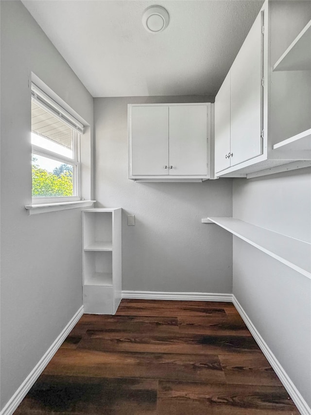 spacious closet featuring dark hardwood / wood-style flooring