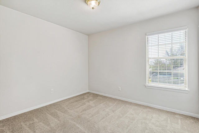 unfurnished room with carpet flooring