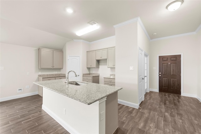 kitchen with an island with sink, dark wood-type flooring, and sink