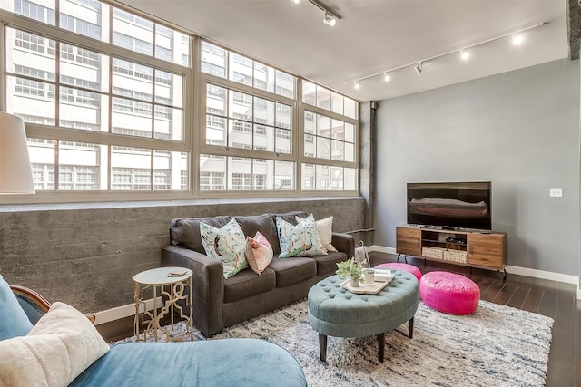 living room featuring hardwood / wood-style flooring and rail lighting