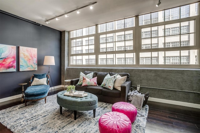 sitting room featuring hardwood / wood-style flooring and rail lighting