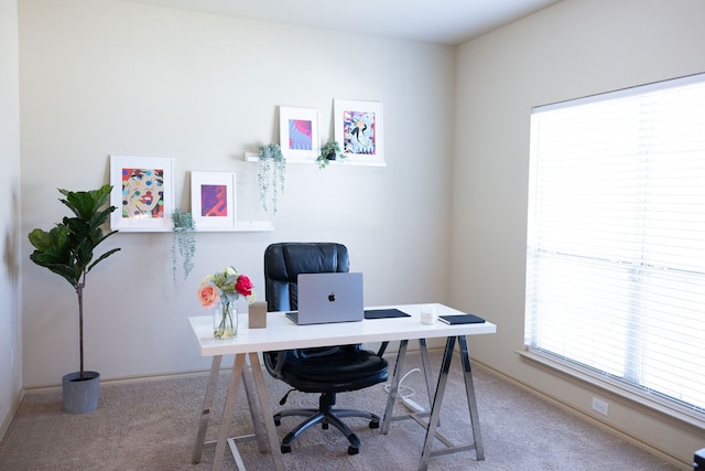 home office featuring carpet flooring