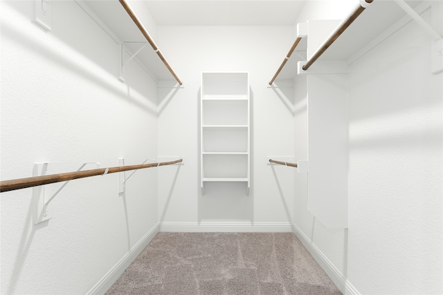 spacious closet featuring light carpet