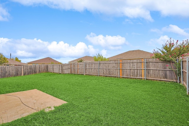 view of yard featuring a patio area