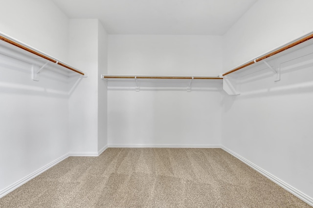 walk in closet with carpet