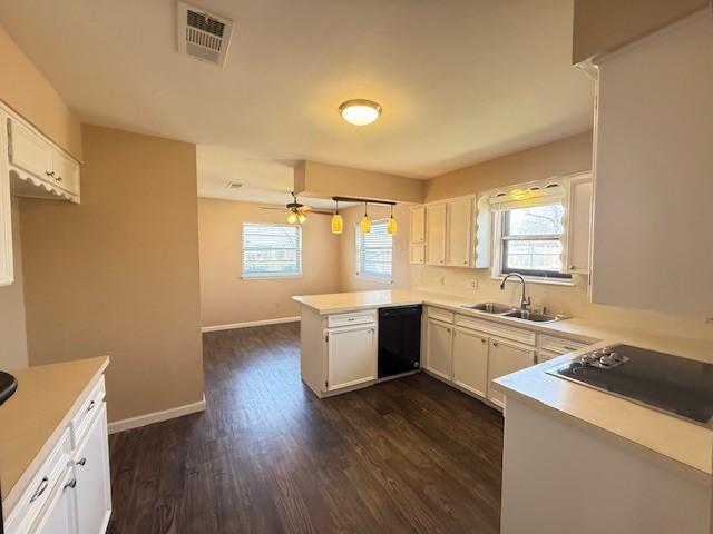 unfurnished room with carpet flooring and ceiling fan