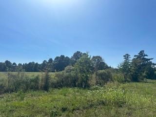 0 Farris Ln, Frierson, LA 71027
