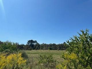 0 Farris Ln, Frierson, LA 71027