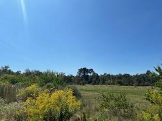 0 Farris Ln, Frierson, LA 71027