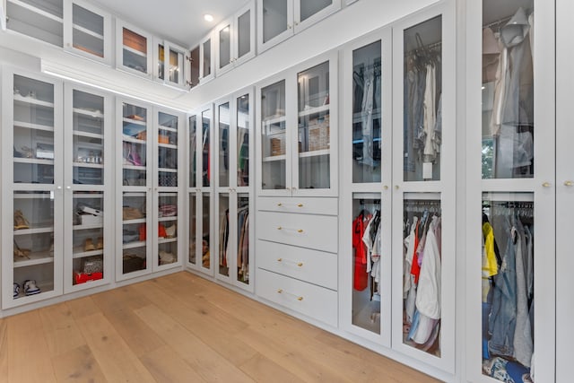 spacious closet featuring light wood-type flooring