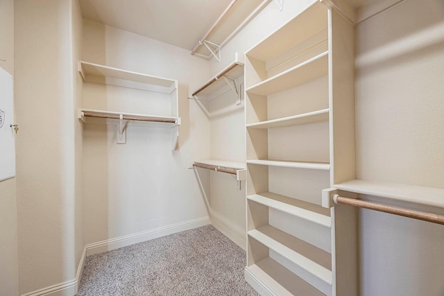 spacious closet featuring light carpet