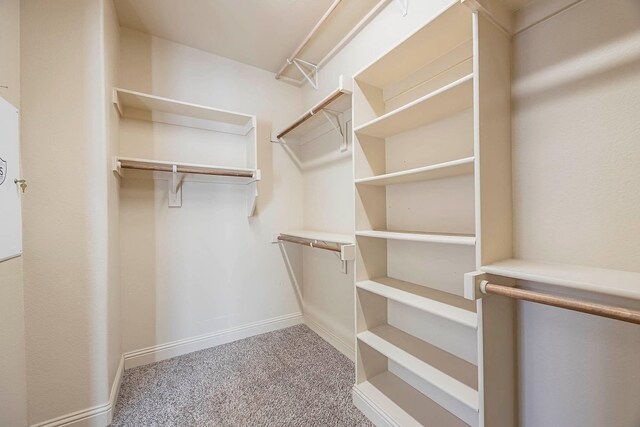 941 Lake Meadow Ln, Little Elm, TX 75068 - spacious closet with carpet flooring