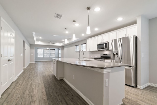 kitchen featuring stainless steel appliances, sink, a raised ceiling, and an island with sink