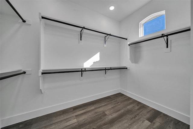 walk in closet featuring dark wood-type flooring